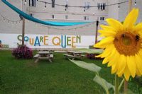 Le Square Queen inaugure un réseau sans fil gratuit
